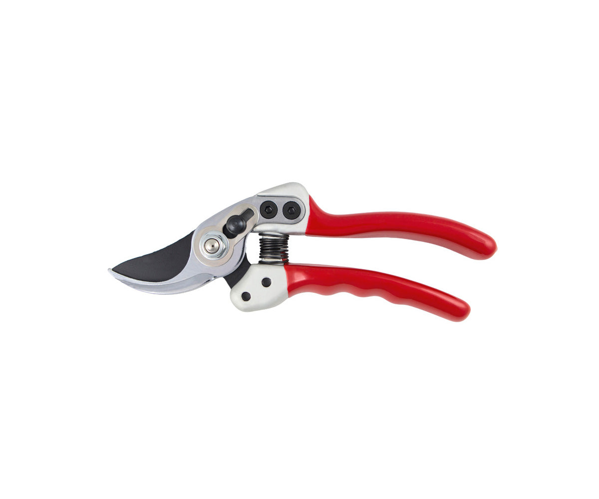 Expert Small Bypass Pruner