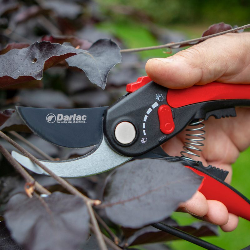 Adjustable Bypass Pruner