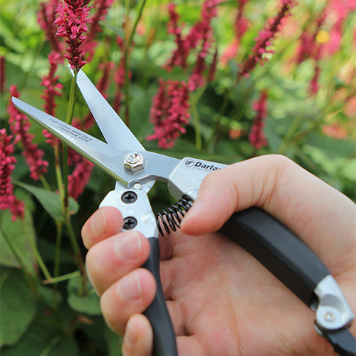 Compact Shear