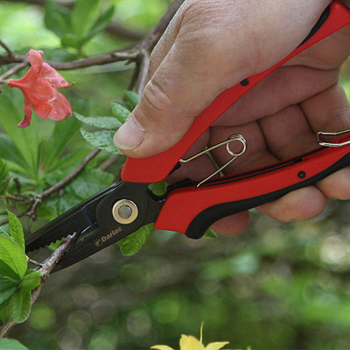 Cut-N-Hold Flower Snip