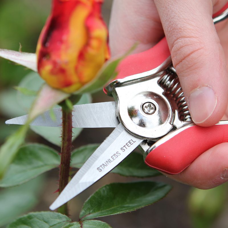 Mini Snips