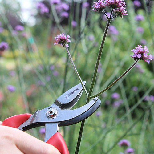 Cut-N-Hold BypassPruner