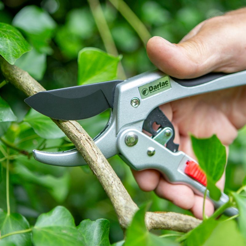 Super Classic Ratchet Pruner