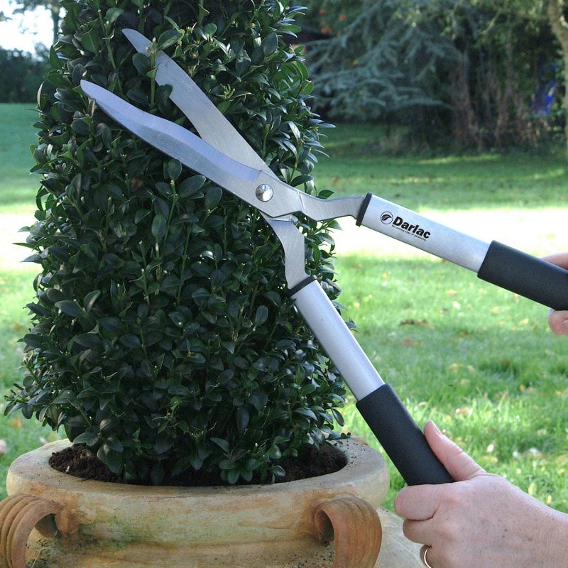 Lightweight Shear