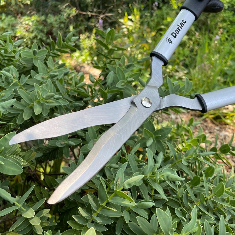 Lightweight Shear