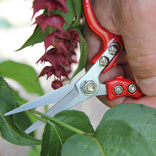 Ergo Snips