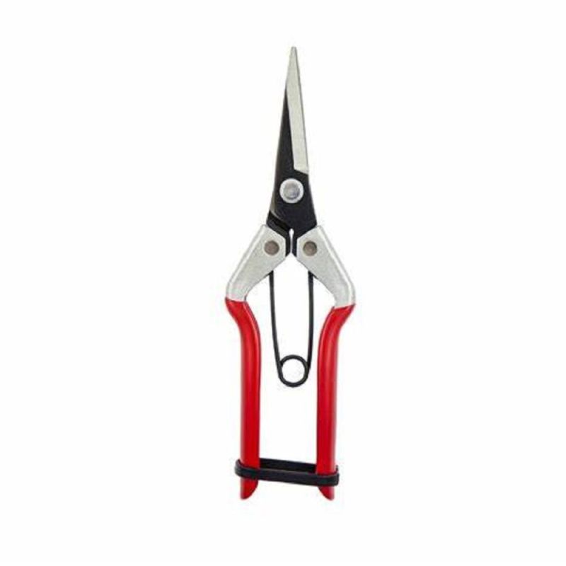 VINE SCISSOR