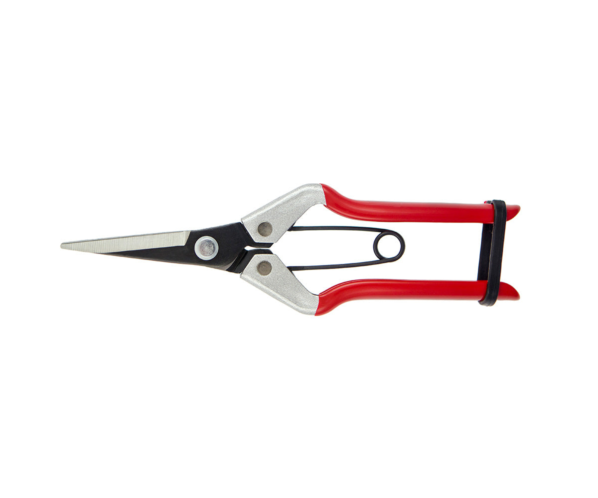 Vine Scissors