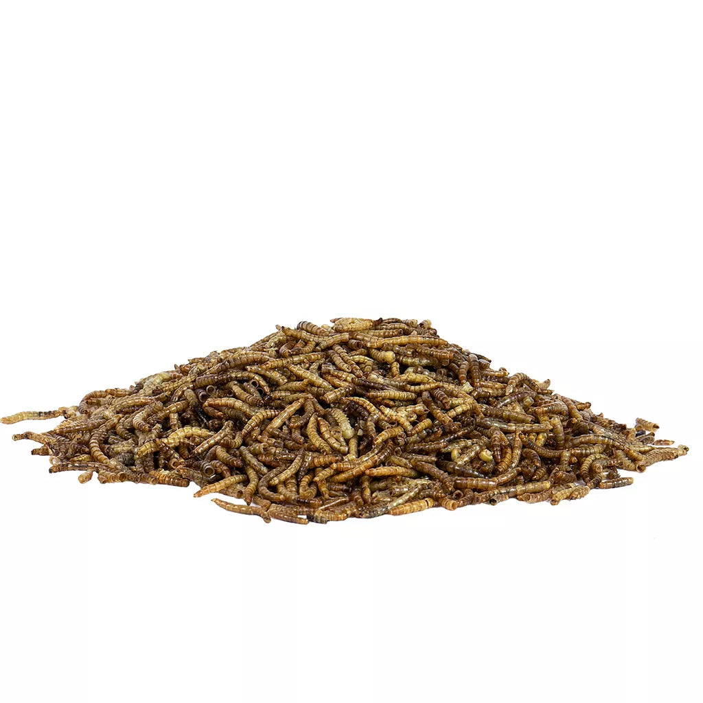 Gardman Mealworm 100g Pouch