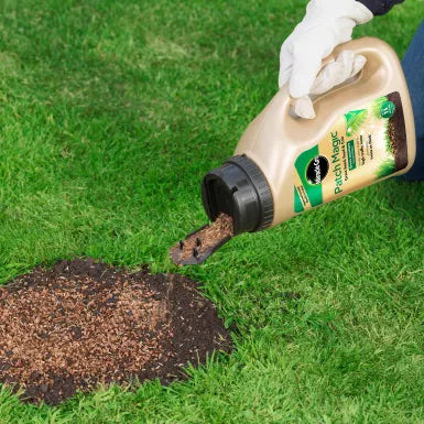Miracle Gro Patch Magic Grass Seed Shaker 1kg