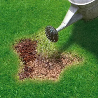 Miracle Gro Patch Magic Grass Seed Shaker 1kg