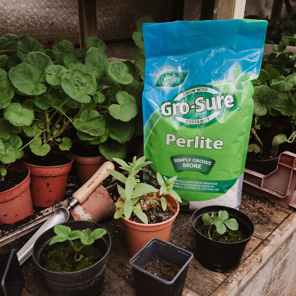 10ltr Gro-Sure Perlite