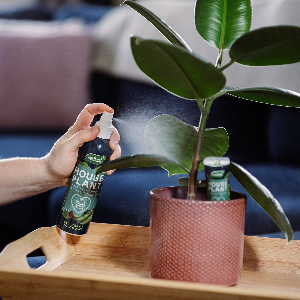 Houseplant Mist & Leaf Shine 250ml