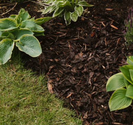 100L Bale Landscape Bark