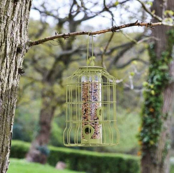 Squirrel Proof Seed Feeder
