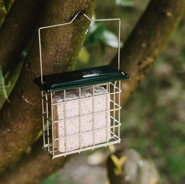 Peckish All Weather Suet Cake Feeder