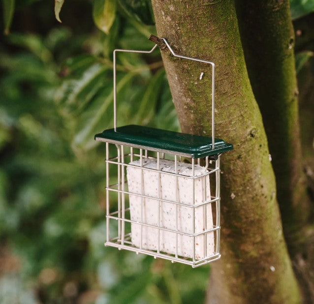 Peckish All Weather Suet Cake Feeder