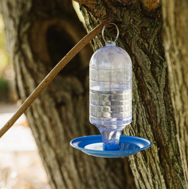 Peckish Bird Water Drinker