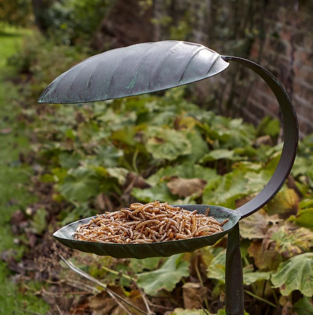 Peckish Mealworm 500g