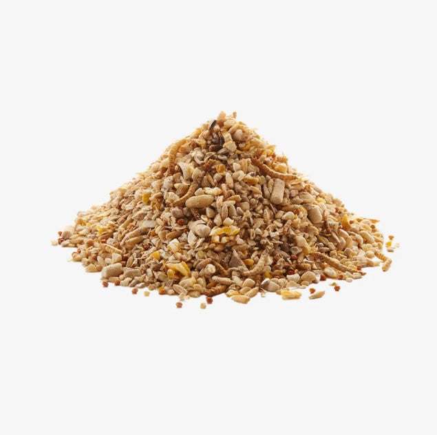 Peckish Robin Seed & Insect Mix 1kg