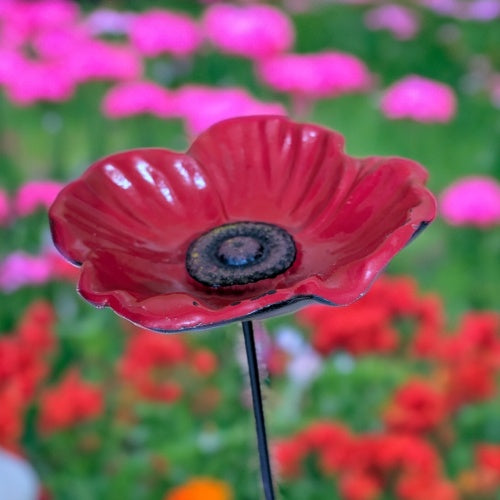 Cast Iron Poppy Feeder