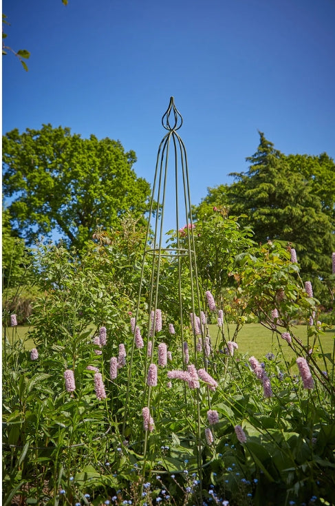 Nostell Obelisk Sage Large