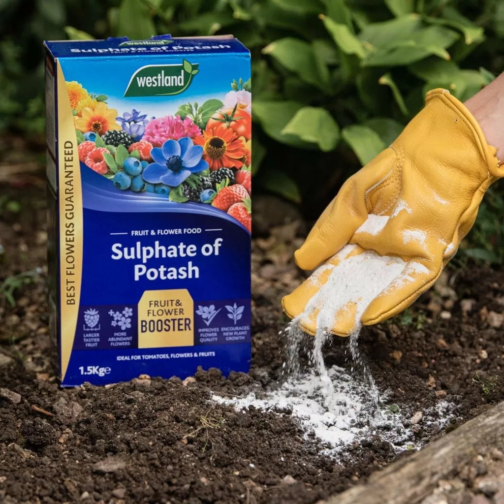 Sulphate Of Potash 1.5kg