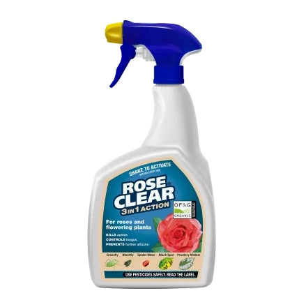 Rose Clear 3 In 1 800ml