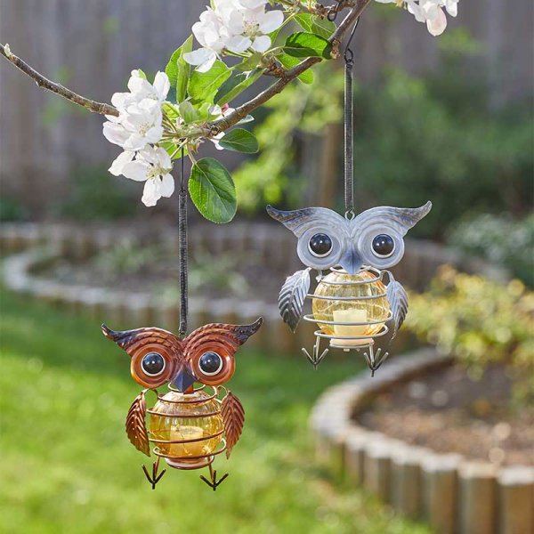 Owl Lights