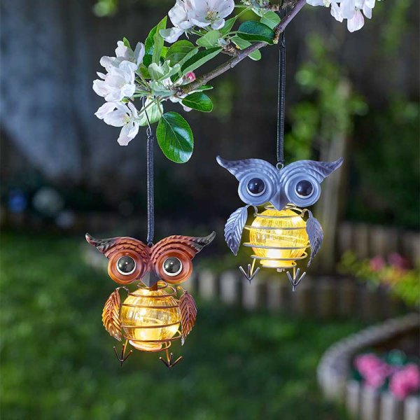 Owl Lights