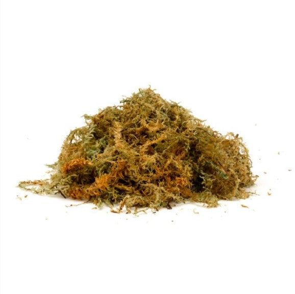 Sphagnum Moss Jumbo