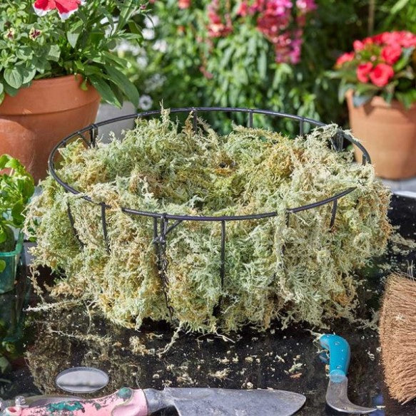 Sphagnum Moss Jumbo